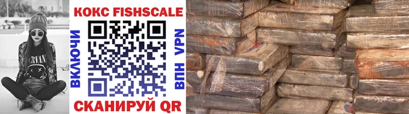хочу наркоту  Тамбов  Кокаин FishScale 