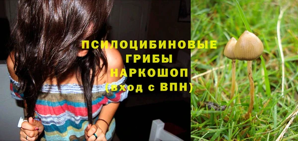 2c-b Надым