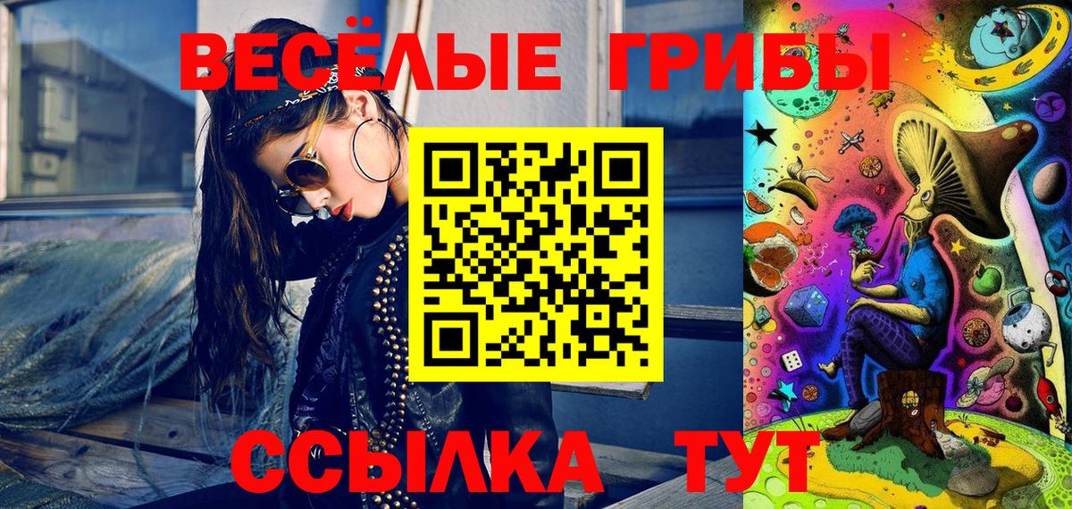 Тамбов  купить   Вход с VPN  Галлюциногенные грибы Psilocybe 
